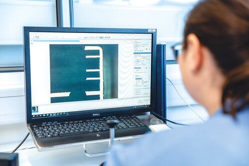 Optische Mikroskopie am Computer, Anzeige einer vergrößerten metallographischen Struktur..